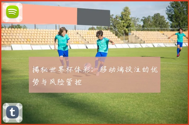 揭秘世界杯体彩：移动端投注的优势与风险管控