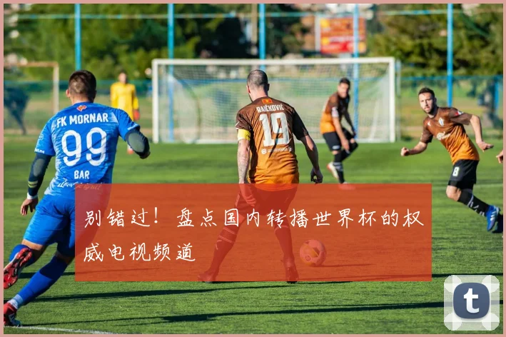 别错过！盘点国内转播世界杯的权威电视频道