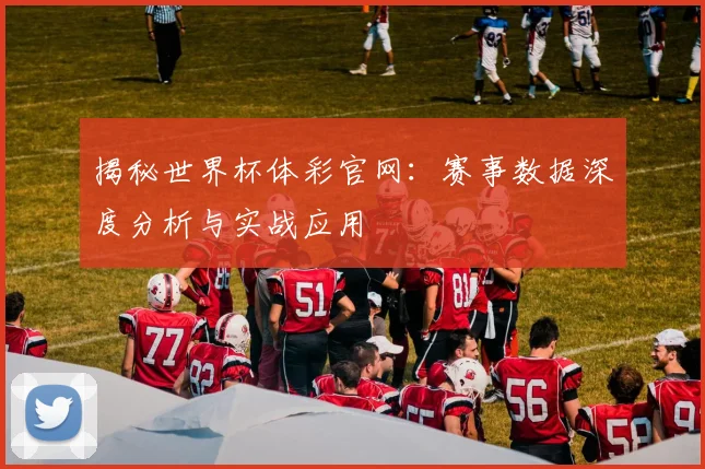 揭秘世界杯体彩官网：赛事数据深度分析与实战应用