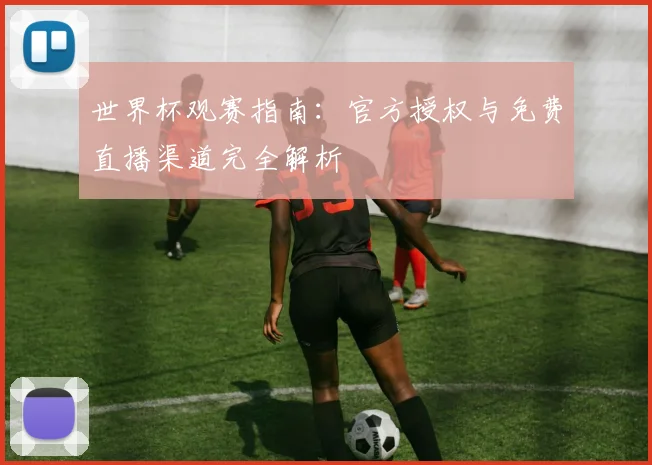 世界杯观赛指南：官方授权与免费直播渠道完全解析