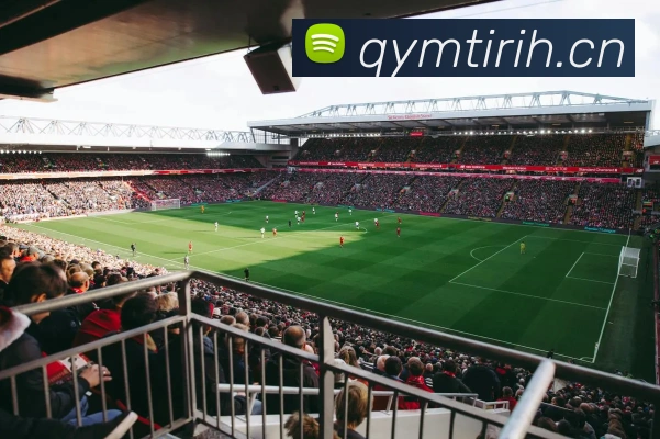 App Interface Preview