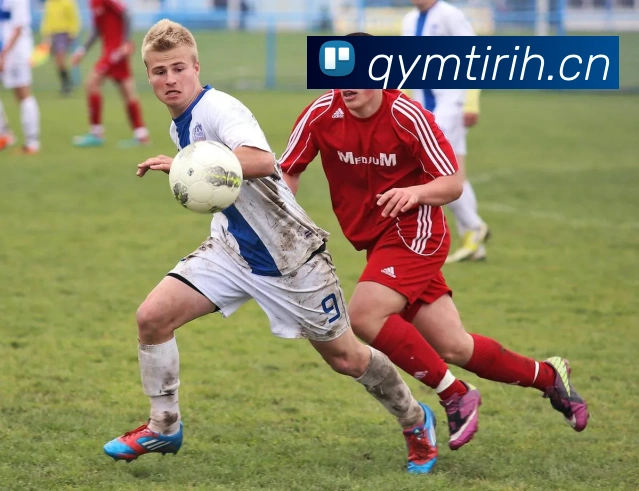 米兰体育官网网页版APP 封面图